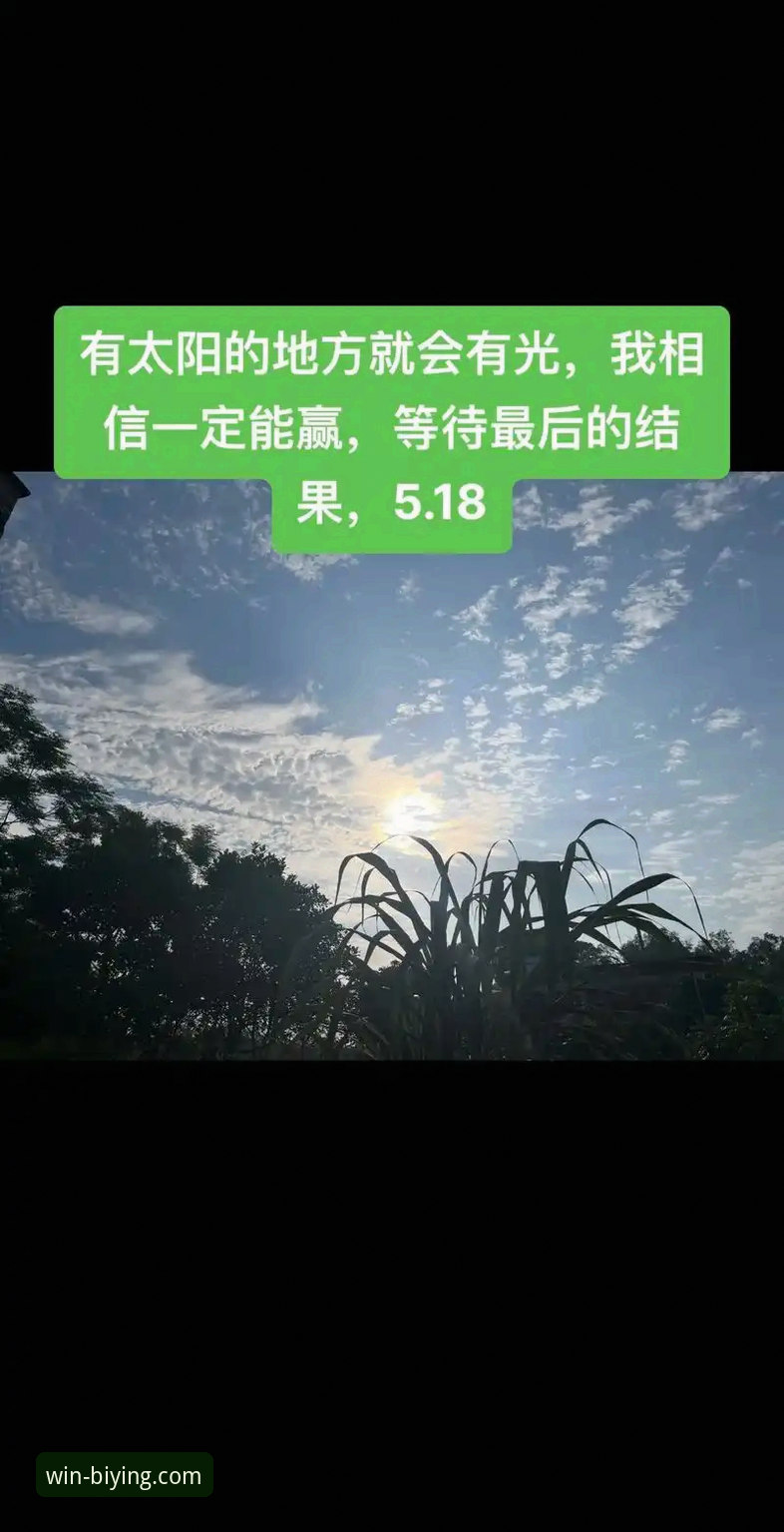 3个关键维度解析必赢最新版本下载哪个好——2026版移动端深度测评